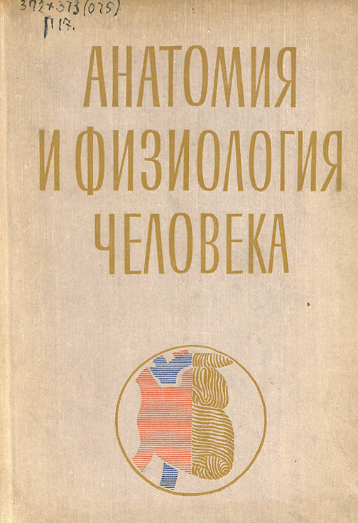 Анатомия и физиология человека