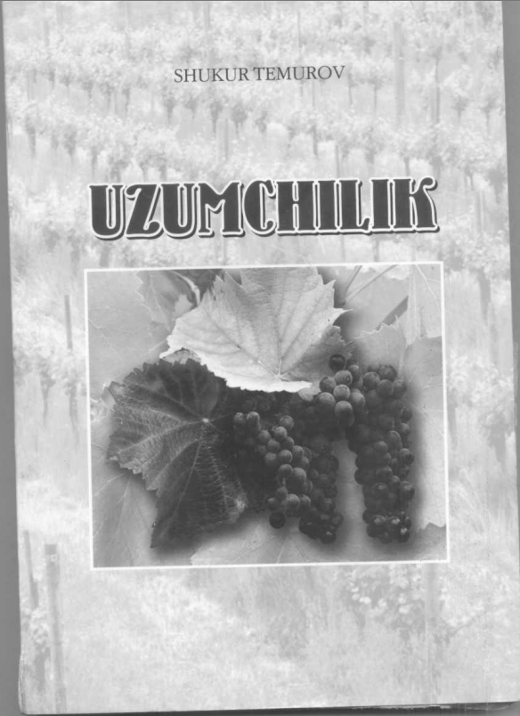 Uzumchilik