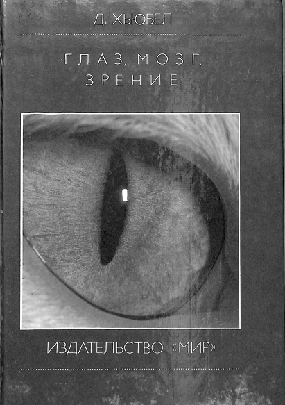 Глаз, мозг, зрение