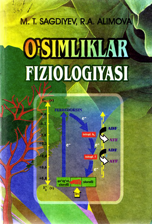 O`simliklar fiziologiyasi