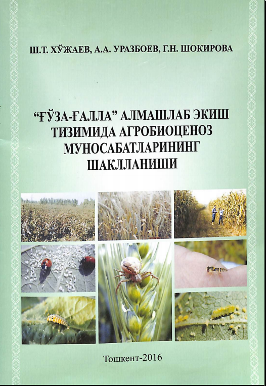 Ғўза тунлами: ҳаёт кечириши, зарари ва унга қарши курашнинг замонавий кўриниши