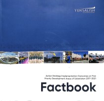 Action Strategy Implementation