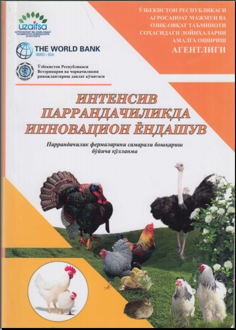 Интенсив паррандачиликда инновацион ёндашув